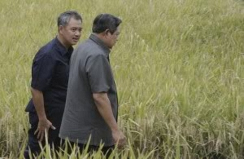 Pengusaha terkenal pemilik grup Artha Graha, Tomy Winata, sedang berbincang akrab dengan Presiden Susilo Bambang Yudhoyono dalam acara panen padi bersama