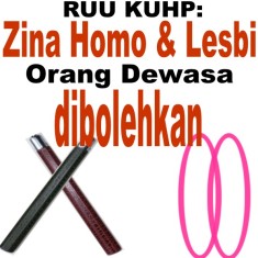 RUU KUHP: Zina Homo & Lesbi Orang Dewasa Dibolehkan Ruu-homo-lesbi
